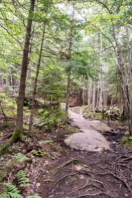 The Granite Ridge trail.
