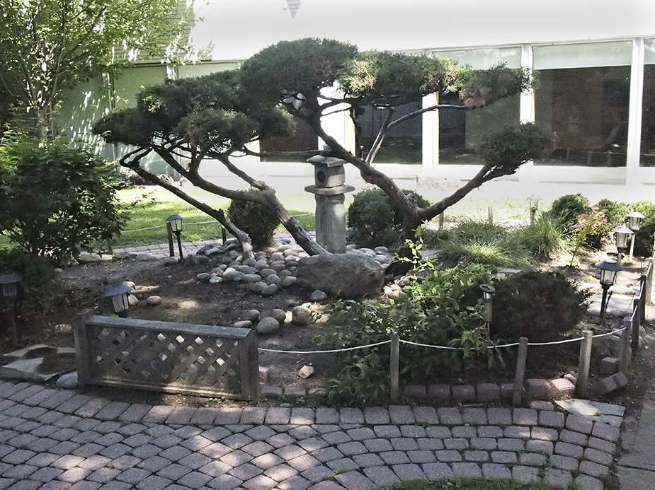 Japanese garden at cultural centre.