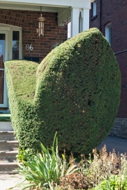 Porch topiary.